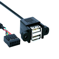 Cable adaptador USB de doble capa DuPont 2.54 de 9 pines con orificio para tornillo, cable de placa base de 9 pines a USB 2.0 de dos puertos con deflector
