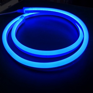 Tira de Luz LED RGB Flexible de PVC Impermeable IP68, 24V 110V 220V, para Iluminación de Edificios, Decoración Navideña y de Bodas - Product Image 5