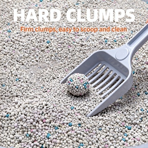 2026 <b>Top</b> Selling <b>Cat</b> Litter Manufacturer Bentonite <b>Cat</b> Litter High Quality Fast Clumping Wholesale <b>Cat</b> Litter - Product Image 3