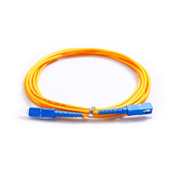 FTTH Fibre Optique SC FC LC ST APC UPC Pigtails 0.9mm 2mm 3mm Singlemode Sm Simplex Fibre Optique Patch Cord Jumper Optique Pigtail