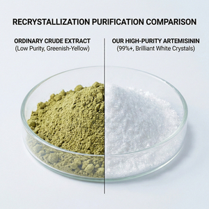 Extracto Natural de Artemisia Annua en Polvo, Alto Contenido de Artemisinina y Ácido Artemisinico, Origen Shandong, Todas las Estaciones, Grado <span class=keywords><strong>Alimenticio</strong></span> - Product Image 2