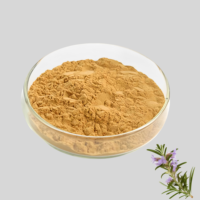 Extrait de plante d'herbe naturelle, extrait de feuille de romarin, 20% d'acide carnosique, antioxydant naturel, matière première en poudre, qualité alimentaire