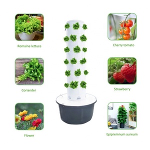 Systèmes de culture hydroponique verticaux modernes à 6 niveaux pour l'intérieur, serre de culture verticale, culture hydroponique d'herbes et de légumes, tour hydroponique - Product Image 4