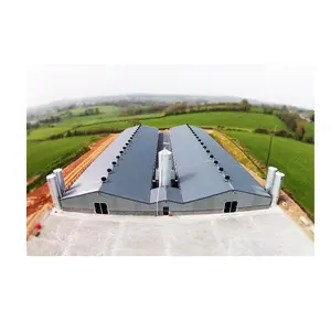 Prefabricated Industrial Design Poultry Farming House Shed Building Steel Structure Material