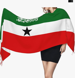 Bandera del Líbano Bufanda de invierno para mujer Manta suave y cálida Bufandas Fringe Pashmina Bufanda - Product Image 4