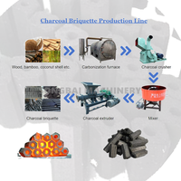 Ensemble complet de machines de fabrication de charbon de bois à partir de coques de noix de coco, directement de l'usine, ligne de production de briquettes de biomasse