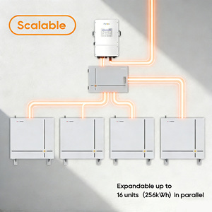 Batería de Almacenamiento Solar Pytes V16 Lite 51.2V 314Ah 16.07kWh, Sistema de Almacenamiento de Energía LiFePO4 de 8000 Ciclos para Respaldo Residencial - Product Image 5
