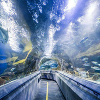 Vente directe du fabricant, bon prix, aquarium tunnel, aquarium en acrylique, tunnel pour aquarium, grand format