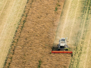 Máy thu hoạch weichai gv100 (<span class=keywords><strong>4lz</strong></span>-8v) kết hợp gặt đập Thương hiệu Trung Quốc 1 năm có hộp số mang động cơ bơm động cơ - Product Image 5