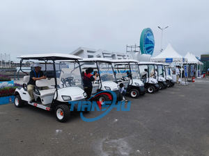 أعلى جودة كلاسيكية جديدة لمشاهدة معالم المدينة الكهربائية ذات <span class=keywords><strong>2</strong></span> مقاعد 48 فولت بطارية ليثيوم <span class=keywords><strong>2</strong></span> راكب للبيع - Product Image 4