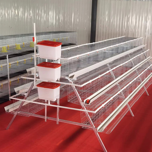 Nouvelle <span class=keywords><strong>cage</strong></span> à poulets automatique en fil de fer galvanisé à 3-4 niveaux, capacité de 128 poulets - Product Image 1