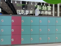 Casier de vestiaire moderne et durable en ABS, fabriqué sur mesure par Easy Locker Factory, avec panneaux en plastique sain