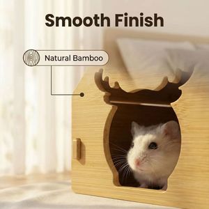 Maison en bois pour chinchilla, abri naturel pour petits animaux, cabane pour chinchilla, écureuil, sugar glider en cage - Product Image 2
