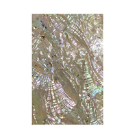 Placage de coquille d'ormeau (Paua) Luméa 5,5 x 9,5 pouces, avec feuille adhésive 3M pour application, pour projets d'incrustation