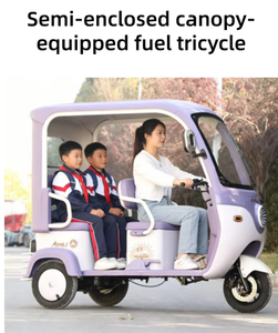 Soldes Exceptionnelles Vente Directe Usine <span class=keywords><strong>Moto</strong></span> Tricycle 150cc Semi-fermée à Essence Sensation de Sécurité Utilisation Quotidienne Polyvalente - Product Image 1