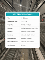 Système de cages automatiques pour poules pondeuses de type H, cages en batterie multi-niveaux, équipement d'élevage avicole en fil galvanisé pour la production d'œufs