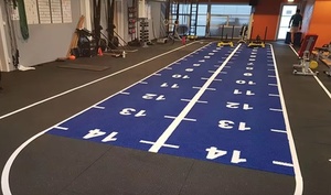 Tapis de gazon de gymnastique d'intérieur personnalisé piste de course de traîneau faite de tapis de gazon artificiel rembourré en mousse de caoutchouc durable - Product Image 3