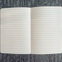 Carnet A5 en cuir PU personnalisé, couverture rigide, reliure cousue, motif crocodile gaufré, ligné, pour écriture quotidienne, idéal comme cadeau.