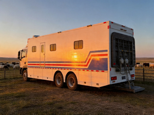 Camión de revisión médica móvil todo en uno para vehículos de emergencia con funciones de examen físico y consulta de salud - Product Image 2