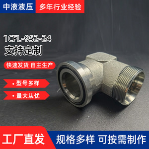Raccord de compression fileté en acier inoxydable 90 degrés 1CFL9/1DFS9, connecteur à bride hydraulique à angle droit, taille métrique - Product Image 3