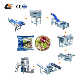 Affettatrice per Cavolo <span class=keywords><strong>Rosso</strong></span> in Acciaio Inox SUS304, Macchina per Lavaggio e Pulizia di Carote e Foglie, Preparatore di Insalata di Frutta, Linea di Lavorazione Insalata Fresca - Product Image 3