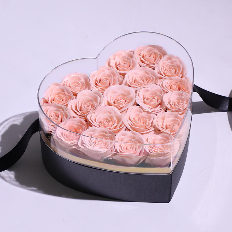 5201-3 light champagne