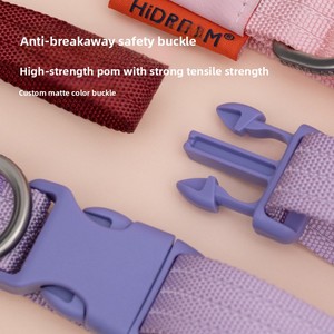 طوق كلاب هاي دريم مضاد للضياع للكلاب الصغيرة مثل الفرنش بولدوغ والكورجي، مع علامة محفورة مخصصة، مصنوع من النايلون المنسوج بدقة، ضمن مجموعة مستلزمات الحيوانات الأليفة - Product Image 3