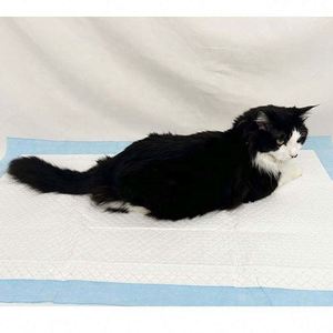 Alfombrilla de Entrenamiento Premium Súper Absorbente para Mascotas, a Prueba de Fugas de Orina, de Secado Rápido, con Tecnología de Bloqueo de Olores, Superficie Suave y Segura - Product Image 5