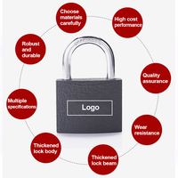 Serrures de porte à cadenas en acier de Type classique de haute qualité Serrures en fer de fabricant chinois étanches populaires et abordables