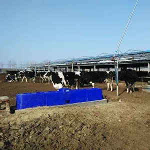 Abreuvoir d'eau potable à température constante bleue pour animaux Abreuvoir d'eau de vache LLDPE