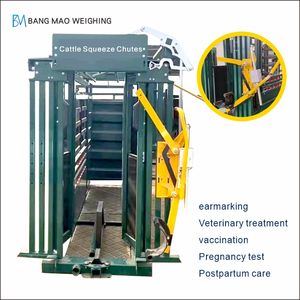 عرض خاص فولاذية شديدة التحمل يدوية تعمل بالضغط على الماشية ساحة مخزون جديدة لمزرعة الماشية لصناعات البيع بالتجزئة - Product Image 3