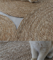 Planche à gratter pour chat, tapis en papyrus pour chenil, résistant à l'usure, anti-aboiement, anti-griffures, planche à griffes pour chat, carton de Noël