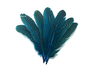Pluma <span class=keywords><strong>de</strong></span> Gallo <span class=keywords><strong>de</strong></span> Guinea Teñida <span class=keywords><strong>de</strong></span> Alta Calidad, <span class=keywords><strong>de</strong></span> 15-20 cm, Precio <span class=keywords><strong>de</strong></span> Ganga Profesional, <span class=keywords><strong>Venta</strong></span> al por Mayor <span class=keywords><strong>de</strong></span> Fábrica - Product Image 1
