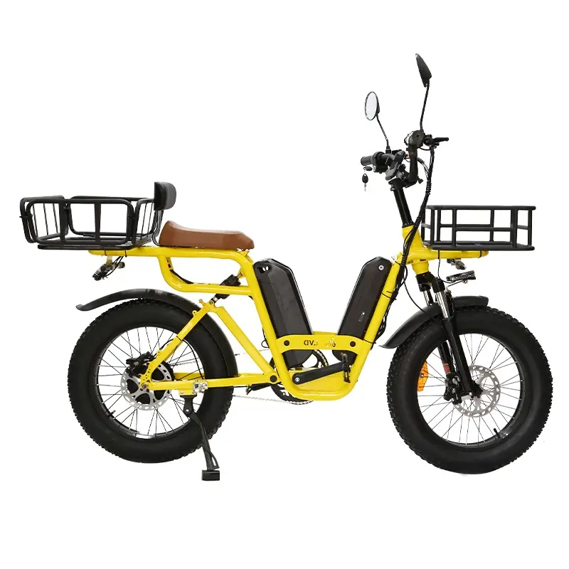 20 pulgadas para bicicleta eléctrica, rastrillo eléctrico de 48V al, ISC, elivery 750W Argo