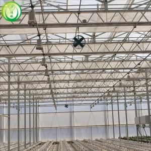 Usine de serres Jiapei Solution unique Grand treillis Venlo <span class=keywords><strong>Cadre</strong></span> en acier avec film couvrant les serres automatiques - Product Image 6