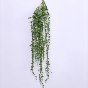 Piante Artificiali Pendenti in Plastica, Pianta delle Perle, Vegetazione Decorativa - Product Image 1