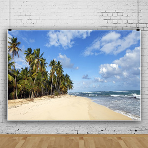Zomer Tropisch Strand Thema Foto Achtergronden Zee-Oceaan Palmblad Zand Strand Blauw Wit Hawaii Fotografie Achtergronden