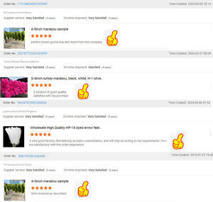 Plume <span class=keywords><strong>de</strong></span> coq estampée pour l'artisanat DIY, les coiffures, les costumes, la pêche à la mouche, les ornements, la décoration <span class=keywords><strong>de</strong></span> franges <span class=keywords><strong>de</strong></span> rêve - Product Image 6