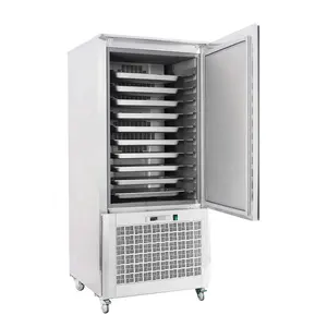 商用餐厅厨房不锈钢托盘冰箱低温显示器立式冰柜