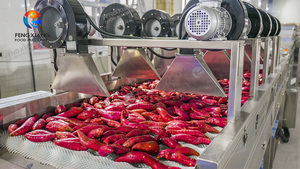 Máquina de Secado de Frutas y Verduras DM-50 Fengxiang, Secador de Aire Frío o Caliente, Línea de Producción Lista para Usar, Tamaños Personalizados Disponibles - Product Image 5