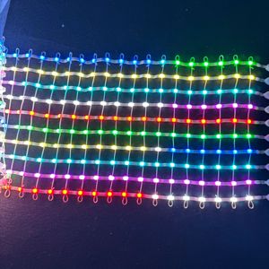 Dc12v 25 mét Pitch địa chỉ <span class=keywords><strong>RGB</strong></span> thông minh LED Pebble/Hạt giống linh hoạt ma trận lưới đèn màn hình P67 10*20/10*40/10*60 pixels - Product Image 6