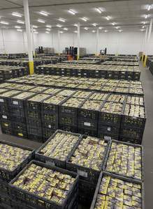 O Freight Poke DDP Super Evolution Dream EX Box Carte japonaise Mega M2A TCG - Product Image 3