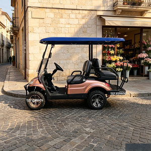 Voiturette de golf électrique 4 places à moteur AC à couple élevé, excellente performance en montagne, véhicule de golf pour station balnéaire en montagne - Product Image 1
