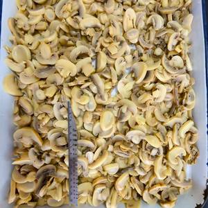 פטריות שמפיניון משומרות 400 גרם-2840 גרם פטריות משומרות PNS פרוסות שלמות ירקות משומרות מזון משומר - Product Image 5