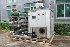 Máquina de Hielo comestible personalizada ICESTA automática de alta productividad, larga vida útil, 15 toneladas, para salmón congelado - Product Image 5