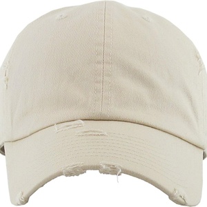 Gorra de Béisbol Personalizada Unisex de 6 Paneles, Formal, con Estampado de Frutas y Letras, de Secado Rápido, Transpirable, Impermeable, de Tela Twill, Deportiva - Product Image 1