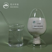 Poudre de PAM non ionique NPAM pour la coagulation des eaux usées de l'électrolyse, adsorbant et tensioactif, floculant