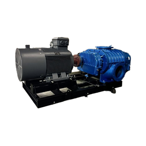 مضخة تفريغ صناعية بقوة 15 كيلو واط للصناعات الكيميائية - Product Image 2