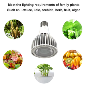 Ampoule LED COB E27 à spectre complet 20W, lumière végétative type soleil pour plantes d'intérieur, serres et culture de semis - Product Image 5
