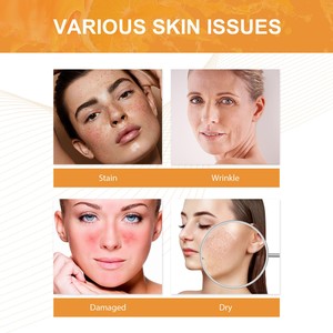 Sérum facial nourrissant à l'acide férulique, à la vitamine <span class=keywords><strong>C</strong></span> et à la vitamine <span class=keywords><strong>E</strong></span> pour un teint uniforme, vente en gros - Product Image 4